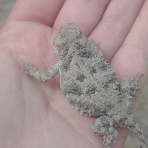 Meet your Posher, Brenna